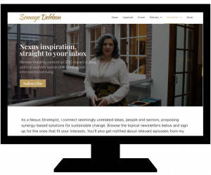 Somaye Dehban - HubSpot project